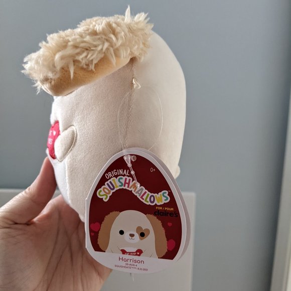5" Squishmallow Claire's Exclusive Puppy Harrison Valentine's Day - Picture 3 of 3